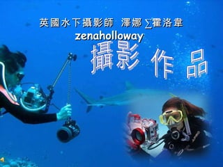 英 國 水下 攝 影 師   澤 娜 · 霍洛 韋   zenaholloway  攝影 作 品 