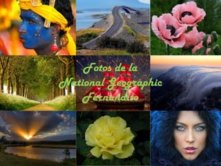 Fotos de la
National Geographic
    Fernandito
 