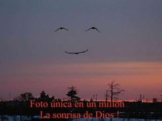 Foto única en un millón  La sonrisa de Dios ! 