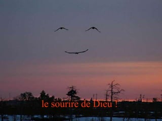 le sourire de Dieu ! 