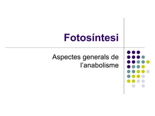 Fotosíntesi Aspectes generals de l’anabolisme 