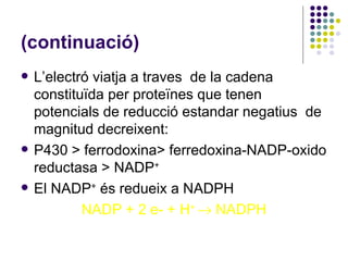 (continuació) L’electró viatja a traves  de la cadena constituïda per proteïnes que tenen potencials de reducció estandar negatius  de magnitud decreixent: P430 > ferrodoxina> ferredoxina-NADP-oxido reductasa > NADP + El NADP +  és redueix a NADPH NADP + 2 e- + H +    NADPH 