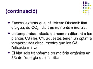 (continuació) Factors externs que influeixen: Disponibilitat d’aigua, de CO 2  i d’altres nutrients minerals. La temperatura afecta de manera diferent a les plantes C3 i les C4, aquestes tenen un òptim a temperatures altes, mentre que les C3 l'eficàcia minva. El blat sols transforma en matèria orgànica un 3% de l’energia que li arriba. 