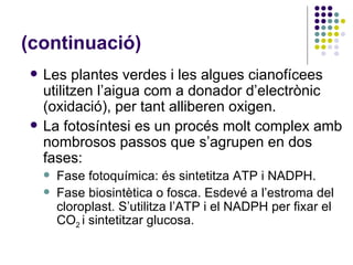 (continuació) Les plantes verdes i les algues cianofícees utilitzen l’aigua com a donador d’electrònic (oxidació), per tant alliberen oxigen. La fotosíntesi es un procés molt complex amb nombrosos passos que s’agrupen en dos fases: Fase fotoquímica: és sintetitza ATP i NADPH. Fase biosintètica o fosca. Esdevé a l’estroma del cloroplast. S’utilitza l’ATP i el NADPH per fixar el CO 2  i sintetitzar glucosa. 