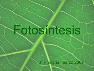 Fotosíntesis

    3° Primaria, marzo 2009
 