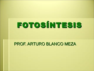 FOTOSÍNTESIS PROF. ARTURO BLANCO MEZA 