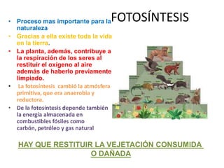 • Proceso mas importante para la    FOTOSÍNTESIS
  naturaleza
• Gracias a ella existe toda la vida
  en la tierra.
• La planta, además, contribuye a
  la respiración de los seres al
  restituir el oxígeno al aire
  además de haberlo previamente
  limpiado.
• La fotosíntesis cambió la atmósfera
  primitiva, que era anaerobia y
  reductora.
• De la fotosíntesis depende también
  la energía almacenada en
  combustibles fósiles como
  carbón, petróleo y gas natural

   HAY QUE RESTITUIR LA VEJETACIÓN CONSUMIDA
                    O DAÑADA
 