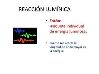 REACCIÓN LUMÍNICA
        • Fotón:
          -Paquete individual
          de energía luminosa.

        • Cuanto mas corta la
          longitud de onda mayor es
          la energía.
 