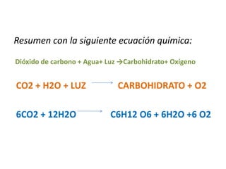 Resumen con la siguiente ecuación química:

Dióxido de carbono + Agua+ Luz →Carbohidrato+ Oxígeno


CO2 + H2O + LUZ               CARBOHIDRATO + O2

6CO2 + 12H2O               C6H12 O6 + 6H2O +6 O2
 