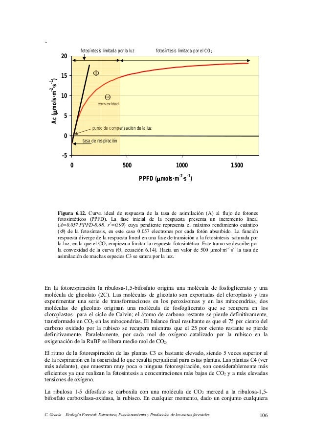 lecciones importantes sobre dietoterapia nutrición clínica y metabolismo