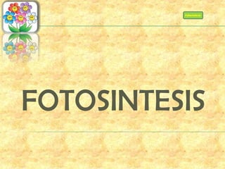 Fotosíntesis
FOTOSINTESIS
 