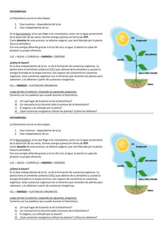 FOTOSÍNTESIS
La fotosíntesis ocurre en dos etapas:
1.
2.

Fase lumínica – dependiente de la luz
Fase independiente de luz

En la fase lumínica, la luz que llega a los cloroplastos, junto con el agua proveniente
de la absorción de las raíces, forman energía química en forma de ATP.
Como desecho de este proceso, se obtiene oxígeno, que será liberado por la planta
hacia la atmósfera.
Con esa energía obtenida gracias a la luz del sol y al agua, la planta es capaz de
producir su propio alimento.
LUZ + AGUA + CLOROFILA = ENERGÍA + OXÍGENO
¿Cómo lo hacen?
En la fase independiente de la luz se da la formación de sustancias orgánicas. La
planta toma el anhídrido carbónico (CO2) que obtiene de la atmósfera y usando la
energía formada en la etapa lumínica, son capaces de convertirla en sustancias
orgánicas. Estas sustancias orgánicas son el alimento que necesitan las plantas para
sobrevivir, y lo obtienen a partir de sustancias inorgánicas.
CO2 + ENERGÍA = SUSTANCIAS ORGÁNICAS
Luego de leer lo anterior, responde las siguientes preguntas.
Comenta con tus palabras que sucede durante la fotosíntesis.
a)
b)
c)
d)

¿En qué lugar de la planta se da la fotosíntesis?
¿Es necesaria la luz durante todo el proceso de la fotosíntesis?
El oxígeno, ¿es utilizado por la planta?
¿Qué sustancias inorgánicas utilizan las plantas? ¿Cómo las obtienen?

FOTOSÍNTESIS
La fotosíntesis ocurre en dos etapas:
1.
2.

Fase lumínica – dependiente de la luz
Fase independiente de luz

En la fase lumínica, la luz que llega a los cloroplastos, junto con el agua proveniente
de la absorción de las raíces, forman energía química en forma de ATP.
Como desecho de este proceso, se obtiene oxígeno, que será liberado por la planta
hacia la atmósfera.
Con esa energía obtenida gracias a la luz del sol y al agua, la planta es capaz de
producir su propio alimento.
LUZ + AGUA + CLOROFILA = ENERGÍA + OXÍGENO
¿Cómo lo hacen?
En la fase independiente de la luz se da la formación de sustancias orgánicas. La
planta toma el anhídrido carbónico (CO2) que obtiene de la atmósfera y usando la
energía formada en la etapa lumínica, son capaces de convertirla en sustancias
orgánicas. Estas sustancias orgánicas son el alimento que necesitan las plantas para
sobrevivir, y lo obtienen a partir de sustancias inorgánicas.
CO2 + ENERGÍA = SUSTANCIAS ORGÁNICAS
Luego de leer lo anterior, responde las siguientes preguntas.
Comenta con tus palabras que sucede durante la fotosíntesis.
a)
b)
c)
d)

¿En qué lugar de la planta se da la fotosíntesis?
¿Es necesaria la luz durante todo el proceso de la fotosíntesis?
El oxígeno, ¿es utilizado por la planta?
¿Qué sustancias inorgánicas utilizan las plantas? ¿Cómo las obtienen?

 