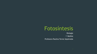 Fotosíntesis
Biología
1°Medios
Profesora Paulina Torres Sepúlveda
1
 