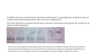 Priestley tras sus conclusiones primeras retomaría su investigación al deducir que el 
medio natural de restauración del aire era la vegetación. 
Con ello repetiría su experimento pero esta vez utilizando una planta de menta en el 
interior del recipiente. 
Tras una serie de repeticiones del experimento con cambios de variables Priestley afirmó que las plantas 
eran la fuente purificadora del aire y que revertía los efectos de la respiración captando el elemento que 
viciaba a el aire. Sin embargo su teoría no fue aceptaba e inclusive él llegó a dudar de la misma. 
 