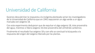 Universidad de California 
Quienes descubrirían la respuesta a la incógnita planteada serían los investigadores 
de la Universidad de California que en 1941 expusieron un alga verde a un agua 
marcada con oxígeno 18. 
Con este experimento dedujeron que de expulsar el alga oxígeno 18, éste provendría 
del agua, mientras si libera oxígeno 16 éste provendría del anhídrido carbónico. 
Finalmente el resultado fue oxígeno 18 y con ello se concluyó la búsqueda a la 
respuesta del origen del oxígeno liberado por las plantas. 
 
