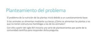 Planteamiento del problema 
El problema de la nutrición de las plantas inició debido a un cuestionamiento base: 
Si los animales se alimentan mediante sus bocas ¿Cómo se alimentan las plantas si es 
que no tienen estructuras homólogas a las de los animales? 
Con ello a partir del siglo XVI iniciaría una serie de planteamientos por parte de la 
comunidad científica para responder dicha pregunta. 
 