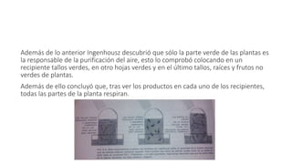 Además de lo anterior Ingenhousz descubrió que sólo la parte verde de las plantas es 
la responsable de la purificación del aire, esto lo comprobó colocando en un 
recipiente tallos verdes, en otro hojas verdes y en el último tallos, raíces y frutos no 
verdes de plantas. 
Además de ello concluyó que, tras ver los productos en cada uno de los recipientes, 
todas las partes de la planta respiran. 
 