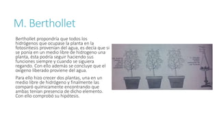 M. Berthollet 
Berthollet propondría que todos los 
hidrógenos que ocupase la planta en la 
fotosíntesis provenían del agua, es decía que si 
se ponía en un medio libre de hidrogeno una 
planta, ésta podría seguir haciendo sus 
funciones siempre y cuando se siguiera 
regando. Con ello además se concluye que el 
oxígeno liberado proviene del agua. 
Para ello hizo crecer dos plantas, una en un 
medio libre de hidrógeno y finalmente las 
comparó químicamente encontrando que 
ambas tenían presencia de dicho elemento. 
Con ello comprobó su hipótesis. 
 
