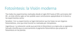 Fotosíntesis: la Visión moderna 
Tras todos los experimentos realizados desde el siglo XVII hasta el XIX y principios del 
XX , en éste último siglo se han podido sacar conclusiones apoyándose en la teoría y 
los experimentos como: 
Senebier: Con su experimento se logró demostrar que las hojas no son órganos 
fotosintéticos, sino que ésta función es realizada por cloroplastos. 
Ingenhousz: La coloración verde que permite la fotosíntesis se origina de un pigmento 
llamado clorofila que es precisamente el pigmento fotosintético que propicia la 
fotosíntesis en las plantas. 
 