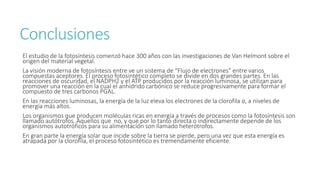 Conclusiones 
El estudio de la fotosíntesis comenzó hace 300 años con las investigaciones de Van Helmont sobre el 
origen del material vegetal. 
La visión moderna de fotosíntesis entre ve un sistema de “Flujo de electrones” entre varios 
compuestas aceptores. El proceso fotosintético completo se divide en dos grandes partes. En las 
reacciones de oscuridad, el NADPH2 y el ATP producidos por la reacción luminosa, se utilizan para 
promover una reacción en la cual el anhídrido carbónico se reduce progresivamente para formar el 
compuesto de tres carbonos PGAL. 
En las reacciones luminosas, la energía de la luz eleva los electrones de la clorofila a, a niveles de 
energía más altos. 
Los organismos que producen moléculas ricas en energía a través de procesos como la fotosíntesis son 
llamado autótrofos. Aquellos que no, y que por lo tanto directa o indirectamente depende de los 
organismos autotróficos para su alimentación son llamado heterótrofos. 
En gran parte la energía solar que incide sobre la tierra se pierde, pero una vez que esta energía es 
atrapada por la clorofila, el proceso fotosintético es tremendamente eficiente. 
