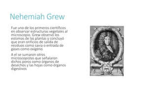 Nehemiah Grew 
Fue uno de los primeros científicos 
en observar estructuras vegetales al 
microscopio. Grew observó los 
estomas de las plantas y concluyó 
que eran orificios de salida de 
residuos como savia o entrada de 
gases como oxígeno. 
A el se sumaron otros 
microscopistas que señalaron 
dichos poros como órganos de 
desechos y las hojas como órganos 
digestivos 
 