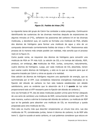 Fotosíntesis www.librosmaravillosos.com Isaac Asimov
159 Preparado por Patricio Barros
Figura 31. Fosfato de triosa (TP)
La siguiente tarea del grupo de Calvin fue contestar a estas preguntas. Continuaron
identificando las sustancias de las diversas manchas después de exposiciones de
algunos minutos al C*O2, señalaron las posiciones del carbono-14 en las diversas
moléculas, y decidieron que, en cuanto se formaba una molécula de PGA, añadía
dos átomos de hidrógeno para formar una molécula de agua y otra de un
compuesto denominado corrientemente fosfato de triosa o «TP». Mostraremos este
proceso de la manera más simple posible (en realidad, más sencilla que el proceso
real) en la figura 31.
Como puede verse, se requieren dos átomos de hidrógeno para convertir una
molécula de PGA en TP más H2O. La adición de CO2 a la trampa del dióxido, RDP,
produce, sin embargo, dos moléculas de PGA. Juntas, consumen, naturalmente,
cuatro átomos de hidrógeno. Luego, por cada molécula de CO2 absorbida, tienen
que usarse cuatro átomos de hidrógeno, y esto es lo que se requiere para que el
esquema trazado por Calvin y otros se ajuste a la realidad.
Esta adición de átomos de hidrógeno requiere una aportación de energía, que es
suministrada por el ATP. (Las verdaderas relaciones energéticas implicadas en la
fijación del dióxido de carbono no han sido todavía establecidas con detalle
satisfactorio, pero es evidente que la absorción de 8 ó 9 quanta de luz solar
proporcionará todo el ATP necesario para la fijación del dióxido de carbono.)
Una vez formado el TP, dos de estas moléculas pueden unirse para formar (después
de una serie de cambios) una molécula de RDP, consumiendo también aquí ATP. De
esta manera, vuelve a abrirse la trampa del dióxido de carbono. La molécula de RDP
que se ha gastado para absorber una molécula de CO2 se reconstituye y queda
preparada para otra molécula de CO2.
Pero esto es mucho más que describir simplemente un círculo tras otro. Las dos
moléculas de TP, consideradas juntas, tienen 6 átomos de carbono; la de RDP sólo
tiene 5. ¿Qué le sucede al sexto carbono, el cual podemos considerar que estuvo en
 