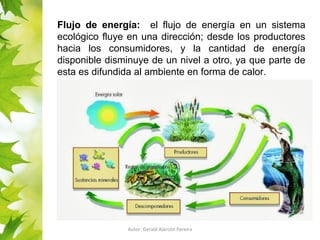 Flujo de energía: el flujo de energía en un sistema 
ecológico fluye en una dirección; desde los productores 
hacia los consumidores, y la cantidad de energía 
disponible disminuye de un nivel a otro, ya que parte de 
esta es difundida al ambiente en forma de calor. 
Autor: Gerald Alarcón Pereira 
 
