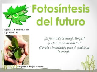 Fotosíntesis
del futuro
¿El futuro de la energía limpia?
¿El futuro de las plantas?
Ciencia e innovación para el cambio de
la energía
Figura 2. Hojas natural
Figura 1. Simulación de
hoja artificial
 