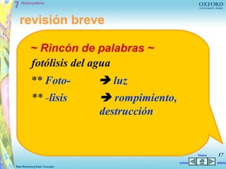 revisión breve

 ~ Rincón de palabras ~
 fotólisis del agua
 ** Foto-     luz
 ** -lisis    rompimiento,
             destrucción


                                       Home   17
                              volver          adelan
 
