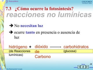 7.3 ¿Cómo ocurre la fotosíntesis?
reacciones no lumínicas
  No necesitan luz
  ocurre tanto en presencia o ausencia de
   luz

 hidrógeno + dióxido            carbohidratos
 (de Reacciones de              (glucosa)
 lumínicas)
                Carbono
                                                Home   18
                                       volver          adelan
 