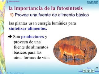 la importancia de la fotosíntesis
 1) Provee una fuente de alimento básico
las plantas usan energía lumínica para
sintetizar alimentos.
 Son productores y
  proveen de una
  fuente de alimentos
  básicos para las
  otras formas de vida

                                                  Home   24
                                         volver          adelan
 