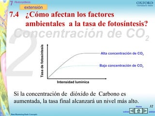 extensión
7.4 ¿Cómo afectan los factores




2
    ambientales a la tasa de fotosíntesis?
 Concentración de CO2
            Tasa de fotosíntesis


                                                         Alta concentración de CO2


                                                         Baja concentración de CO2



                                   Intensidad lumínica


 Si la concentración de dióxido de Carbono es
 aumentada, la tasa final alcanzará un nivel más alto.
                                                                               Home   32
                                                                      volver          adelan
 