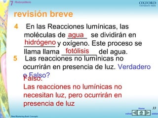 revisión breve
4  En las Reacciones lumínicas, las
                 agua
  moléculas de _____ se dividirán en
  hidrógeno
  ________ y oxígeno. Este proceso se
                fotólisis
  llama llama _________ del agua.
5 Las reacciones no lumínicas no
  ocurrirán en presencia de luz. Verdadero
  o Falso?
  Falso.
    Las reacciones no lumínicas no
    necesitan luz, pero ocurrirán en
    presencia de luz                            Home   33
                                       volver          adelan
 