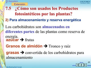 Extensión
7.5 ¿Cómo son usados los Productos
    fotosintéticos por las plantas?
2) Para almacenamiento y reserva energética
Los carbohidratos son almacenados en
diferentes partes de las plantas como reserva de
energía.
azúcar  frutas
Granos de almidón  Tronco y raíz
grasas  convertida de los carbohidratos para
almacenamiento
                                                 Home   35
                                        volver          adelan
 