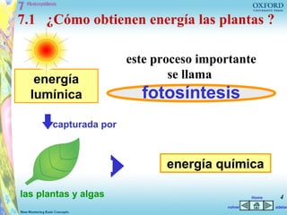 7.1 ¿Cómo obtienen energía las plantas ?

                       este proceso importante
   energía                     se llama
  lumínica               fotosíntesis
       capturada por



                              energía química

las plantas y algas                              Home     4
                                        volver          adelan
 