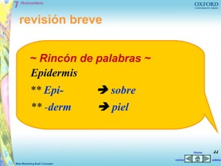 revisión breve


 ~ Rincón de palabras ~
 Epidermis
 ** Epi-      sobre
 ** -derm     piel


                                   Home   44
                          volver          adelan
 