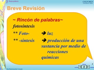Breve Revisión

  ~ Rincón de palabras~
  fotosíntesis
  ** Foto-        luz
  ** -síntesis    producción de una
                 sustancia por medio de
                    reacciones
                 químicas
                                          Home     5
                                 volver          adelan
 
