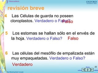 revisión breve
4     Las Células de guarda no poseen
     cloroplastos. Verdadero o Falso?
                                 Falso

5     Los estomas se hallan sólo en el envés de
     la hoja. Verdadero o Falso? Falso


6    Las células del mesófilo de empalizada están
     muy empaquetadas. Verdadero o Falso?
     Verdadero                                    Home   52
                                         volver          adelan
 
