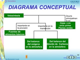 DIAGRAMA CONCEPTUAL
  fotosíntesis                                            Ocurre
                                                          principalmen
                                                          te en
                                                   Hojas y en
           Importante en       Importante en la    otras partes
           la provisión          mantención       Plantas verdes
    Fuentes de
alimentos básicos


                     Del balance           Del balance del
                     del oxígeno        dióxido de Carbono
                    en la atmósfera       en la atmósfera


                                                                Home   54
                                                       volver          adelan
 