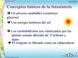 Conceptos básicos de la fotosíntesis
 Un proceso anabólico (construye
glucosa)
 Usa energía lumínica del sol

 Los carbohidratos son sintetizados por las
  plantas usando dióxido de Carbono y
  agua
 El oxígeno es liberado como un subproducto

                                             Home     6
                                    volver          adelan
 