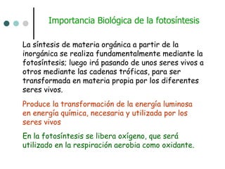 La síntesis de materia orgánica a partir de la inorgánica se realiza fundamentalmente mediante la fotosíntesis; luego irá pasando de unos seres vivos a otros mediante las cadenas tróficas, para ser transformada en materia propia por los diferentes seres vivos.  Produce la transformación de la energía luminosa en energía química, necesaria y utilizada por los seres vivos  En la fotosíntesis se libera oxígeno, que será utilizado en la respiración aerobia como oxidante.  Importancia Biológica de la fotosíntesis 
