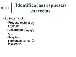 Identifica   las   respuestas   correctas : La fotosíntesis: Produce materia orgánica. Desprende CO 2  y O 2 . Requiere pigmentos como la clorofila. 