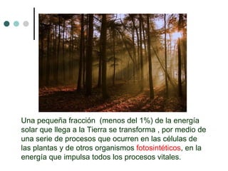 Una pequeña fracción  (menos del 1%) de la energía solar que llega a la Tierra se transforma , por medio de una serie de procesos que ocurren en las células de las plantas y de otros organismos  fotosintéticos , en la energía que impulsa todos los procesos vitales. 