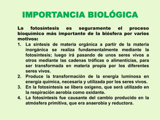 IMPORTANCIA BIOLÓGICA
La fotosíntesis es seguramente el proceso
bioquímico más importante de la biósfera por varios
motivos:
1. La síntesis de materia orgánica a partir de la materia
inorgánica se realiza fundamentalmente mediante la
fotosíntesis; luego irá pasando de unos seres vivos a
otros mediante las cadenas tróficas o alimenticias, para
ser transformada en materia propia por los diferentes
seres vivos.
2. Produce la transformación de la energía luminosa en
energía química, necesaria y utilizada por los seres vivos.
3. En la fotosíntesis se libera oxígeno, que será utilizado en
la respiración aerobia como oxidante.
4. La fotosíntesis fue causante del cambio producido en la
atmósfera primitiva, que era anaerobia y reductora.
 