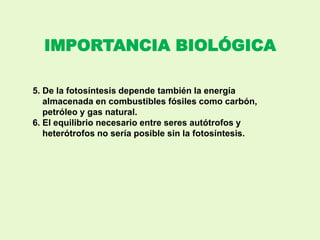IMPORTANCIA BIOLÓGICA
5. De la fotosíntesis depende también la energía
almacenada en combustibles fósiles como carbón,
petróleo y gas natural.
6. El equilibrio necesario entre seres autótrofos y
heterótrofos no sería posible sin la fotosíntesis.
 
