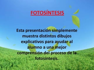 FOTOSÍNTESIS


Esta presentación simplemente
   muestra distintos dibujos
  explicativos para ayudar al
      alumno a una mejor
comprensión del proceso de la
          fotosíntesis.
 