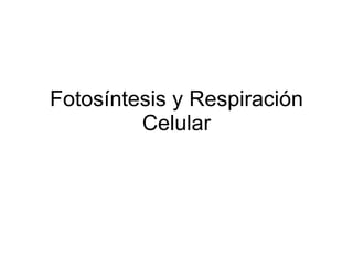 Fotosíntesis y Respiración Celular 