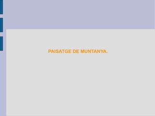 PAISATGE DE MUNTANYA.
 