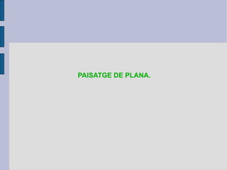 PAISATGE DE PLANA.
 