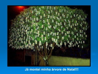 Já montei minha árvore de Natal!!! 